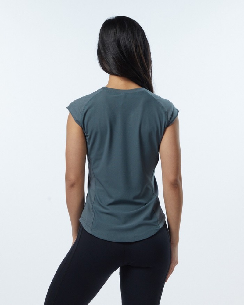 Alphalete Velocity Overhemd Dames Grijs | 90BXLUOHA