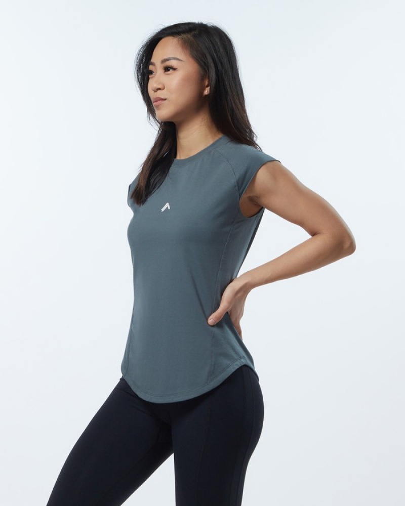 Alphalete Velocity Overhemd Dames Grijs | 90BXLUOHA