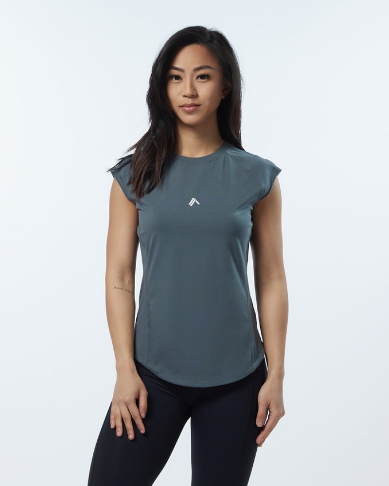 Alphalete Velocity Overhemd Dames Grijs | 90BXLUOHA