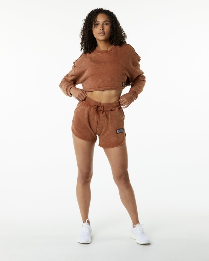 Alphalete Very Terry Crop Pullover Sweatshirt Dames Khaki | 10YRNWHDO