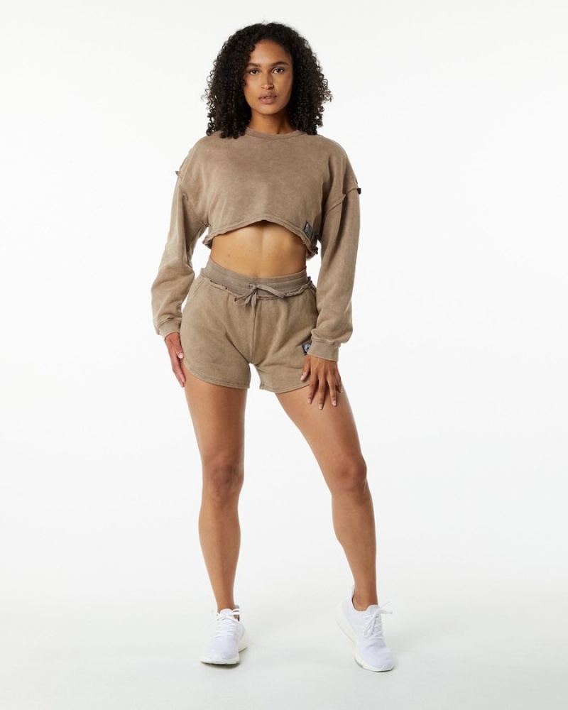 Alphalete Very Terry Crop Pullover Sweatshirt Dames Grijs | 71JVAWHTY