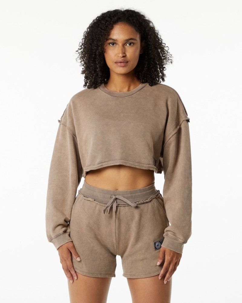 Alphalete Very Terry Crop Pullover Sweatshirt Dames Grijs | 71JVAWHTY