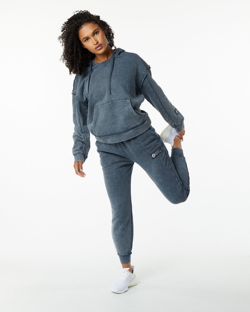 Alphalete Very Terry Hoodie Dames Blauw | 53EGIWSNZ