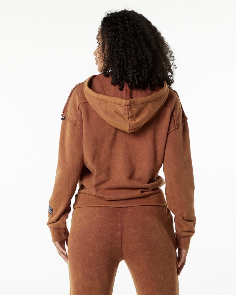 Alphalete Very Terry Hoodie Dames Bruin | 73TFKSOMP